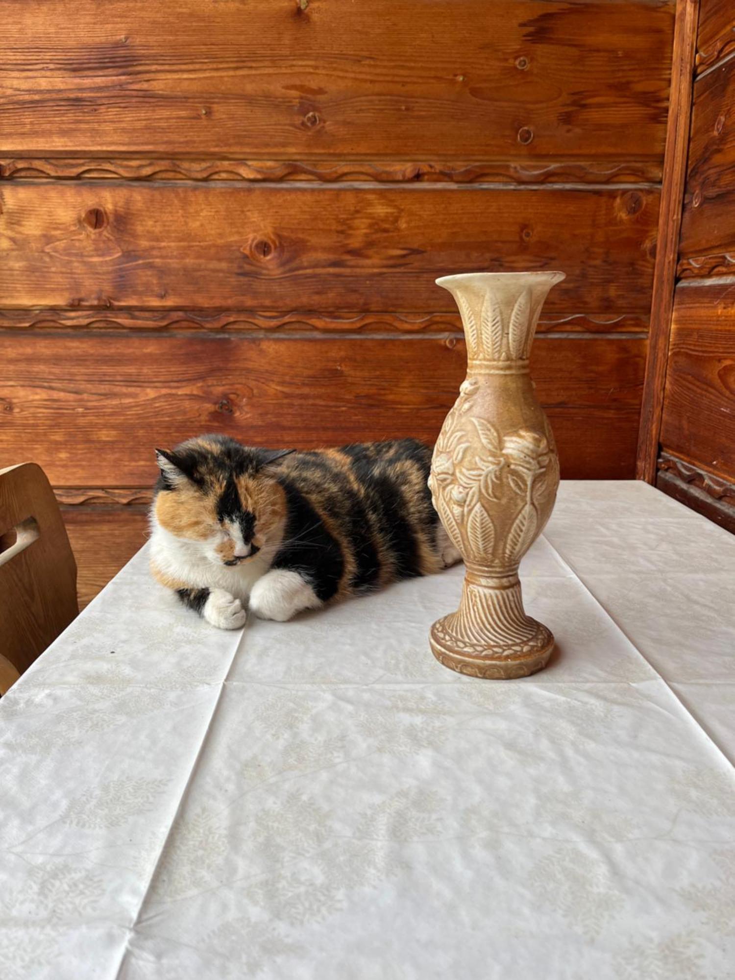 Willa Slotwinka Krynica Zdroj Dış mekan fotoğraf
